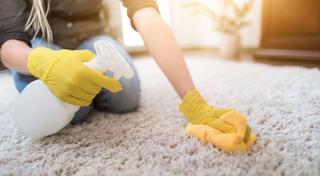 3 Handcleaning on white carpet spray and coth