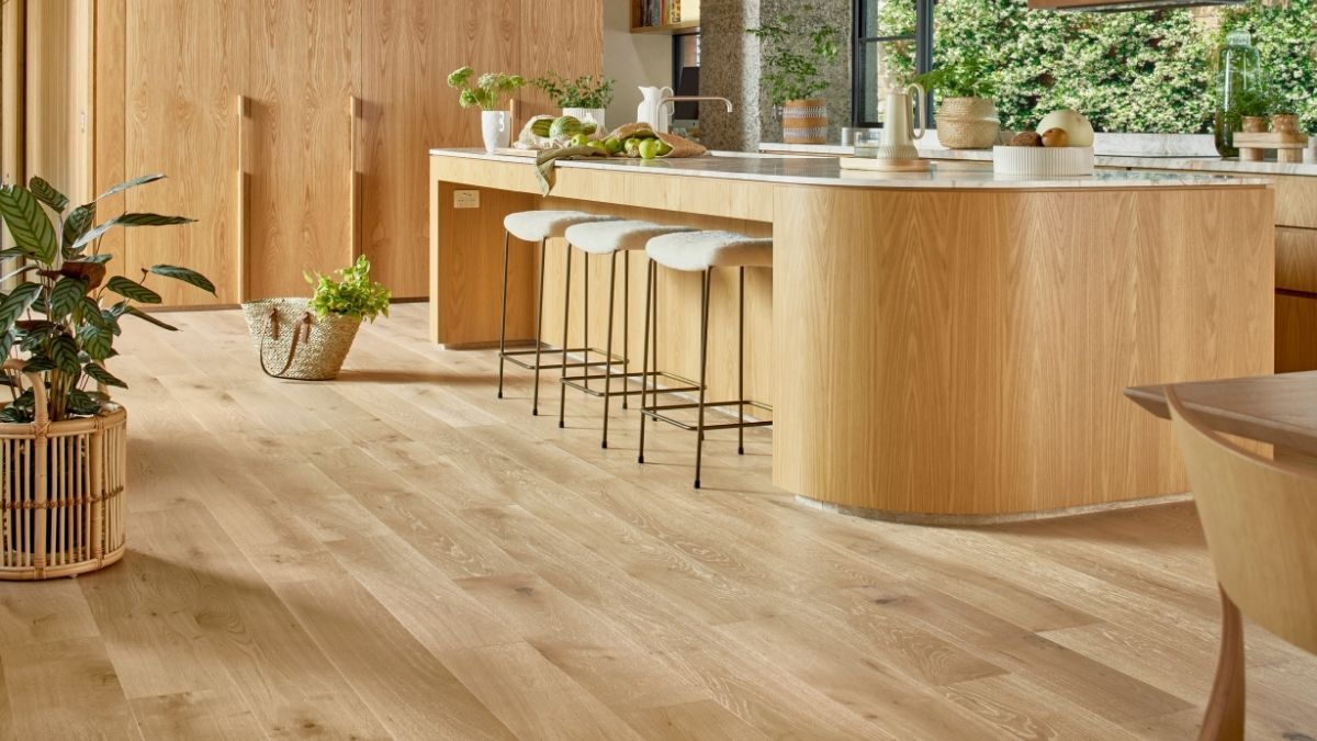 Modern kitchen with timber floors and open plan
