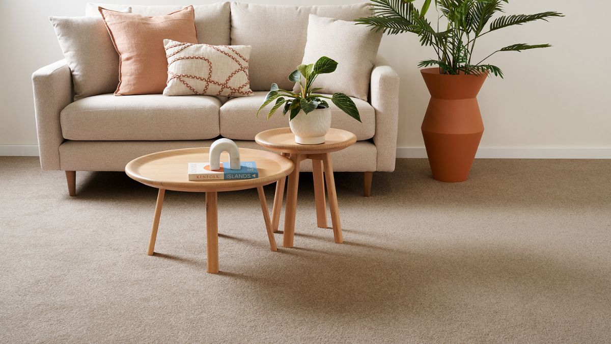 Warm carpet in living room with plants